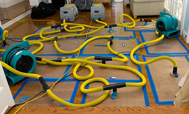 Professional Flood Damage Restoration technician working in Ash Grove, MO
